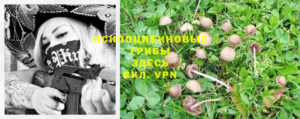 дживик Аркадак