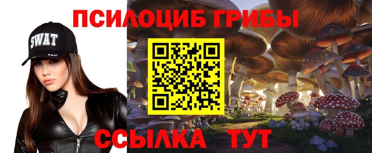 Новомосковск  Псилоцибиновые грибы Cubensis  где купить наркоту  Псилоцибиновые грибы MAGIC MUSHROOMS  Вход с VPN 